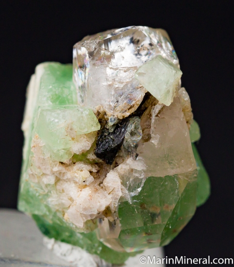 Herderite on Topaz from Dassu, Skardu Dist., Pakistan [db_pics/pics/A275g.jpg]