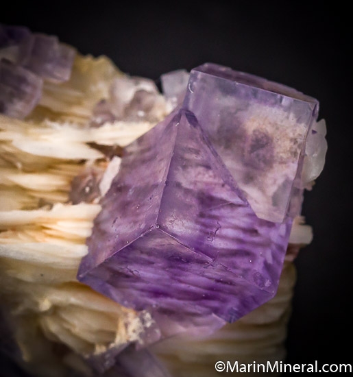 Fluorite on Baryte from Berbes, Asturias, Spain [db_pics/pics/AR36c.jpg]