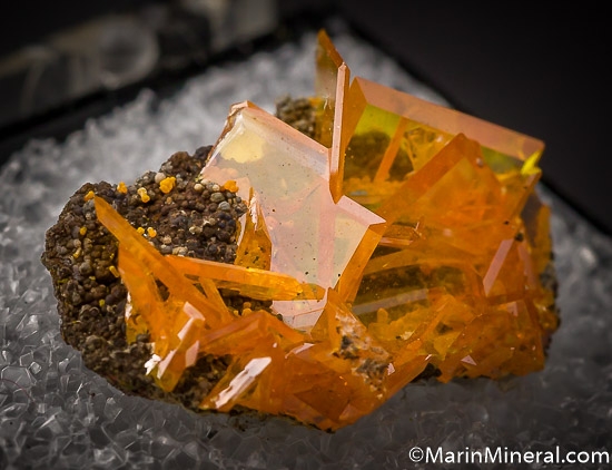 Wulfenite from 79 Mine, Gila Co., Arizona, USA [db_pics/pics/AR5b.jpg]
