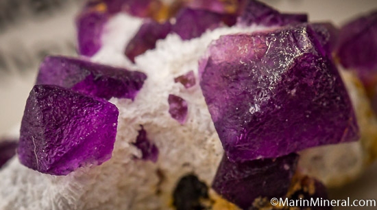 Fluorite from T&G Prospect, Pine Canyon, Grant Co., New Mexico, USA [db_pics/pics/AR9d.jpg]