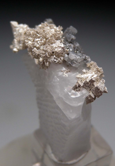 Silver (cubic crystals!) from Bouismas Mine, Zagora Prov., Draa-Tafilalet Region, Morocco [db_pics/pics/CS100a.jpg]