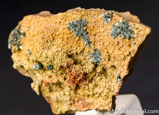 Koettigite from Mina Oujela, Mapimi, Durango, Mexico [db_pics/pics/CT105b.jpg]