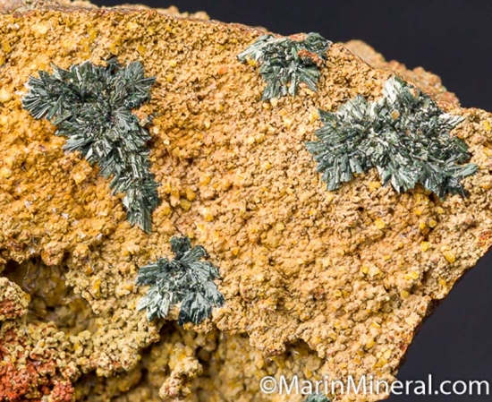 Koettigite from Mina Oujela, Mapimi, Durango, Mexico [db_pics/pics/CT105c.jpg]