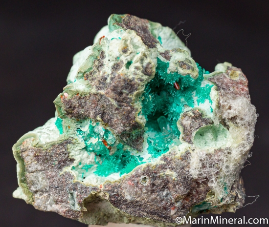 Dioptase with Wulfenite from Mammoth Mine, Tiger, Arizona, USA [db_pics/pics/CT109a.jpg]