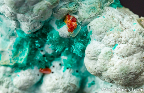 Dioptase with Wulfenite from Mammoth Mine, Tiger, Arizona, USA [db_pics/pics/CT109d.jpg]