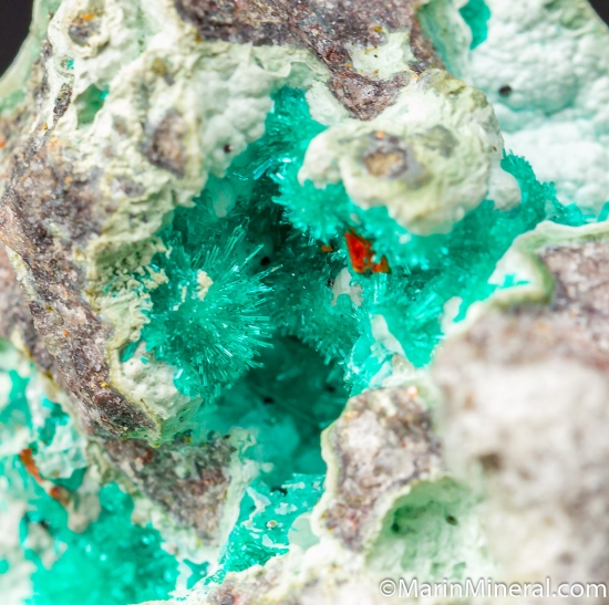 Dioptase with Wulfenite from Mammoth Mine, Tiger, Arizona, USA [db_pics/pics/CT109f.jpg]