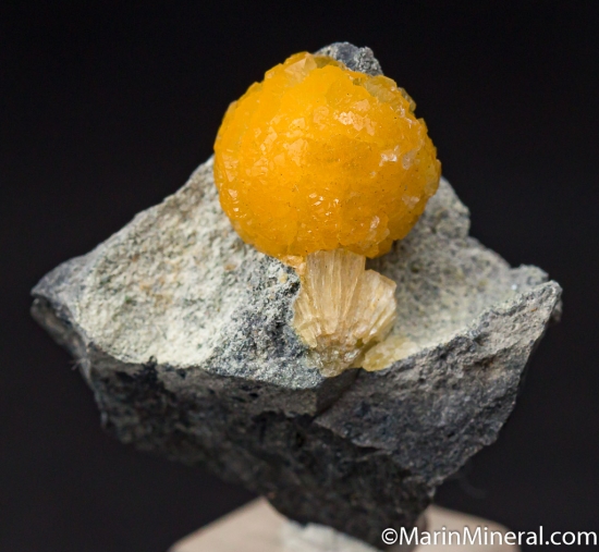 Stilbite from Farifax Quarry, Centreville, Virginia, USA [db_pics/pics/CT111a.jpg]