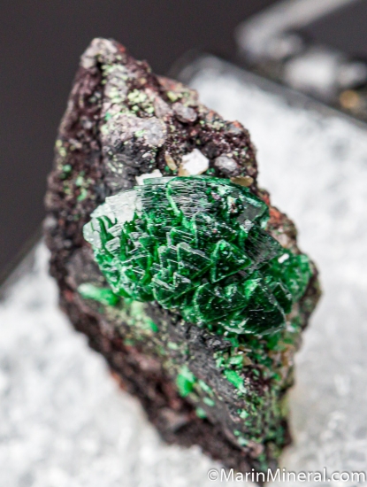 Zincolivenite (Cuprian Adamite) from Tsumeb, Namibia [db_pics/pics/CT119b.jpg]