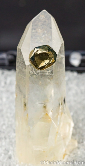 Pyrite on Quartz from Spruce Claim, King Co., Washington, USA [db_pics/pics/CT173a.jpg]