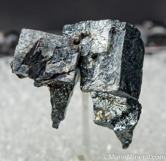 Argentite from Rayas Mine, Guanajuato, Mexico [db_pics/pics/CT193a.jpg]