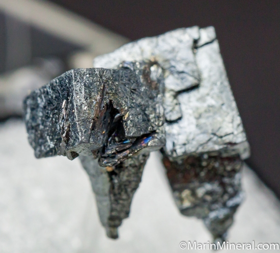 Argentite from Rayas Mine, Guanajuato, Mexico [db_pics/pics/CT193c.jpg]