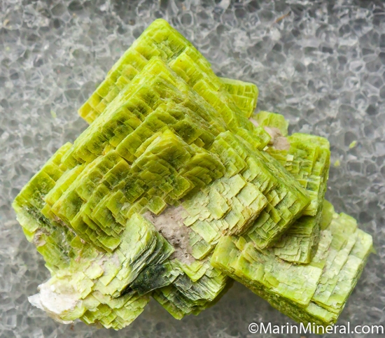 Autunite from Mt. Spokane, Spokane, Washington, USA [db_pics/pics/CT220a.jpg]