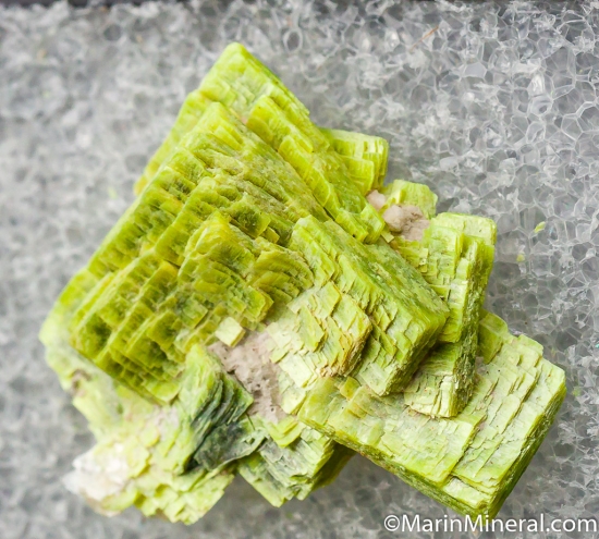 Autunite from Mt. Spokane, Spokane, Washington, USA [db_pics/pics/CT220b.jpg]
