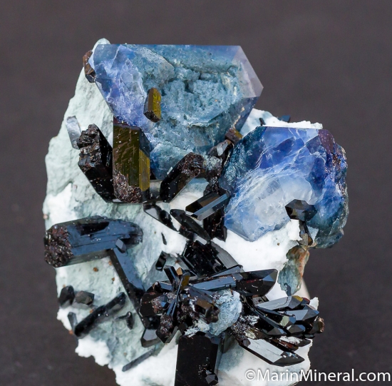 Benitoite with Neptunite from Gem Mine, San Benito Co., California, USA [db_pics/pics/CT254a.jpg]