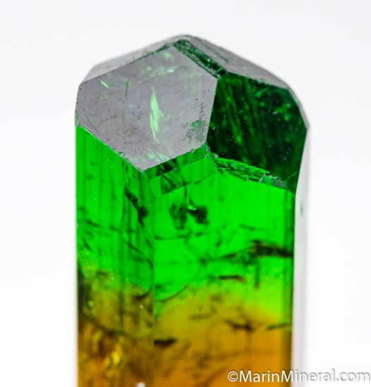 Chrome Dravite from Commander Mine, Nadonjukin, Simanjiro, Tanzania [db_pics/pics/CT265d.jpg]