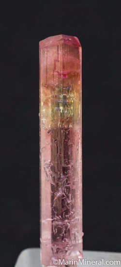Tourmaline from Hyakule, Sankhuwasabha District, Nepal [db_pics/pics/CT267b.jpg]