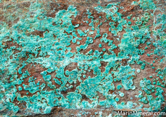 McGuinnessite from Copper King Mine, Red Mountain, Mendocino Co., California, USA [db_pics/pics/CT276d.jpg]
