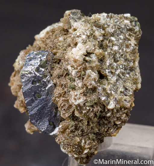 Galena over Arsenopyrite on Muscovite from Panasquiera, Portugal [db_pics/pics/CT334b.jpg]