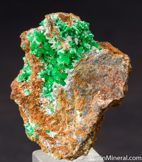 Annabergite from Kamariza, Laurium, Greece [db_pics/pics/CT335a.jpg]