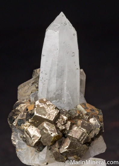 Pyrite with Quartz from Lark, Utah, USA [db_pics/pics/CT337b.jpg]