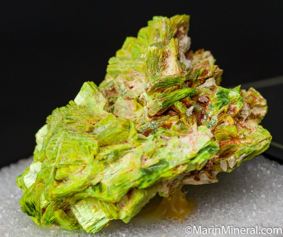 Autunite from Mount Spokane, Spokane Co., Washington, USA [db_pics/pics/CT351b.jpg]