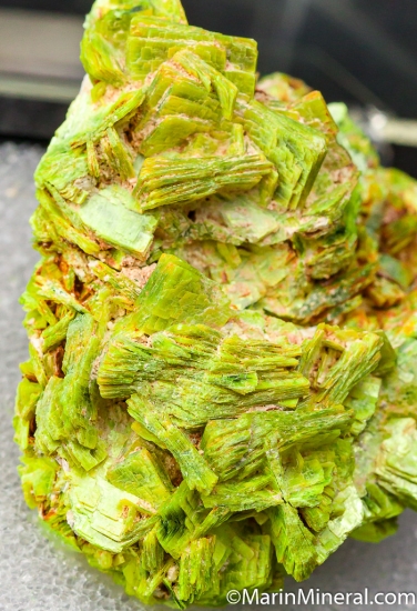Autunite from Mount Spokane, Spokane Co., Washington, USA [db_pics/pics/CT351d.jpg]