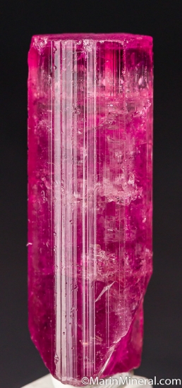 Tourmaline from Cruziero Mine, Minas Gerais, Brazil [db_pics/pics/CT366a.jpg]