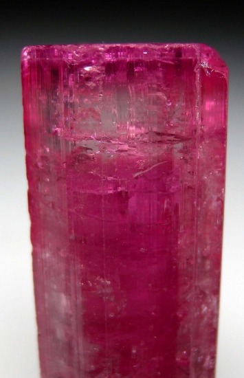 Tourmaline from Cruziero Mine, Minas Gerais, Brazil [db_pics/pics/CT366c.jpg]