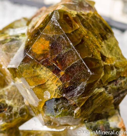 Garnet from Saline Valley, Inyo Co., California, USA [db_pics/pics/CT373d.jpg]