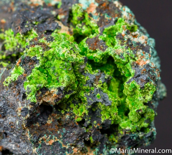 Arthurite from Copper Stope, Majuba Hill Mine, Pershing Co., Nevada, USA [db_pics/pics/CT377e.jpg]