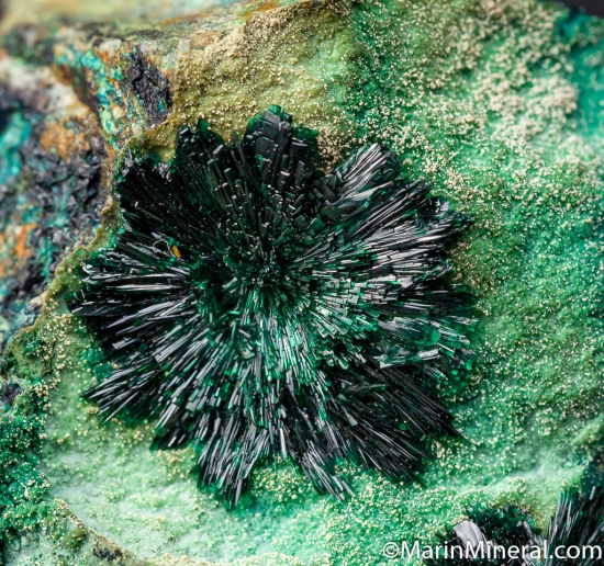 Atacamite from La Farola Mine, Copiapo, Chile [db_pics/pics/CT426d.jpg]