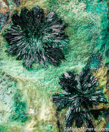 Atacamite from La Farola Mine, Copiapo, Chile [db_pics/pics/CT426e.jpg]