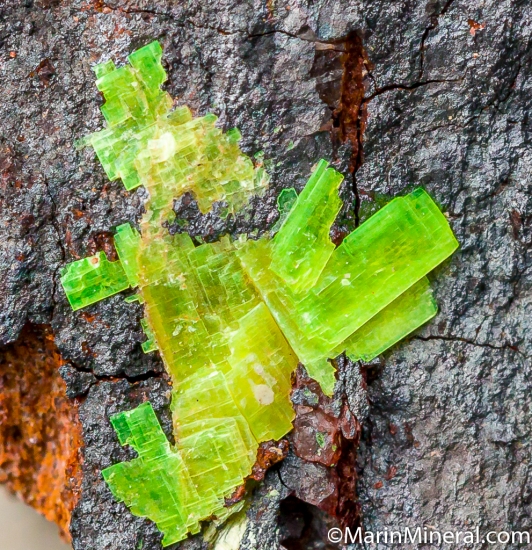 Saleeite from Ranger Mine, Kakadu National Park, Northern Territory, Australia [db_pics/pics/CT445c.jpg]