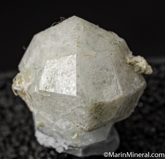 Analcime from Prospect Park Quarry, Patterson, New Jersey, USA [db_pics/pics/CT477d.jpg]