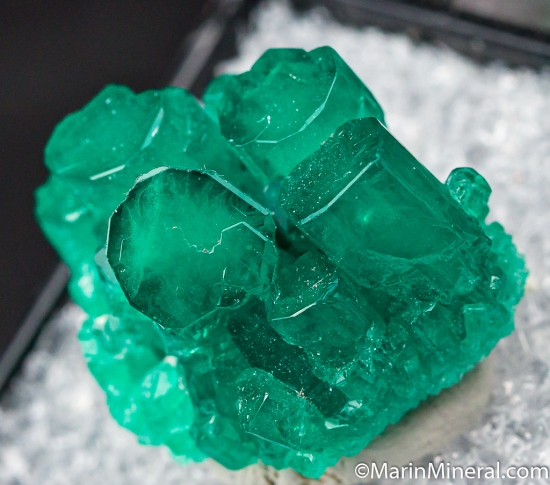 Chatham Emerald from California, USA [db_pics/pics/CT478b.jpg]