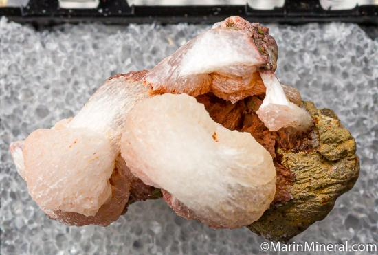 Thomsonite from Skookumchuck Dam, Thurston Co, Washington, USA [db_pics/pics/CT480c.jpg]