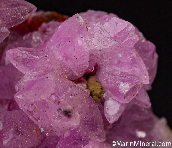 Cobaltian Calcite with Kolwezite from Katanga, Congo (DRC) [db_pics/pics/CT511d.jpg]