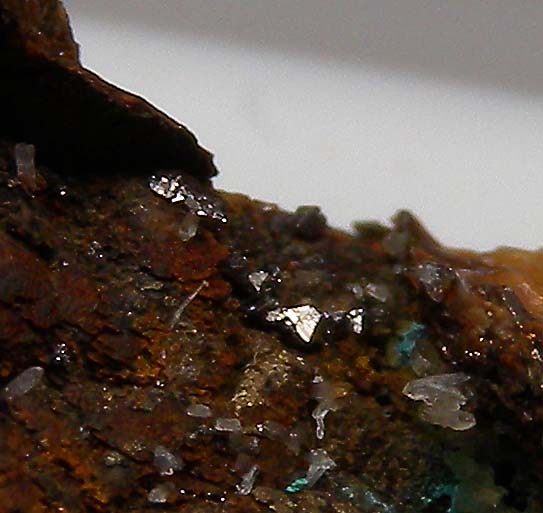 Linnaeite from GrÃ¼ne Gold Mine, Schutzbach, Daaden-Herdorf, Altenkirchen District, Rhineland-Palatinate, Germany [db_pics/pics/CT514d.jpg]