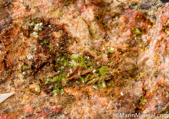 Heinrichite from Wittichen, Black Forest, Germany [db_pics/pics/CT531c.jpg]