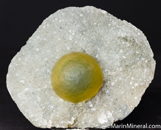 Fluorite on Quartz from Nasik, Maharashtra State, India [db_pics/pics/CT550a.jpg]