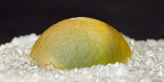 Fluorite on Quartz from Nasik, Maharashtra State, India [db_pics/pics/CT550c.jpg]