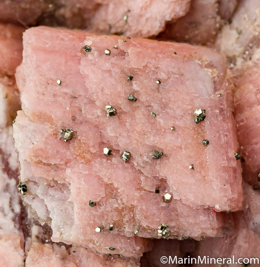 Rhodochrsoite from Emma Mine, Butte, Silver Bow Co., Montana, USA [db_pics/pics/CT552d.jpg]