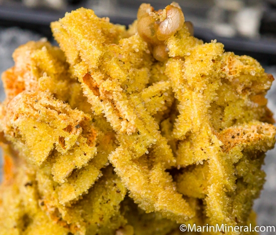 Smithsonite after Dolomite from Rush Creek Mining District, Marion Co., Arkansas, USA [db_pics/pics/CT579d.jpg]