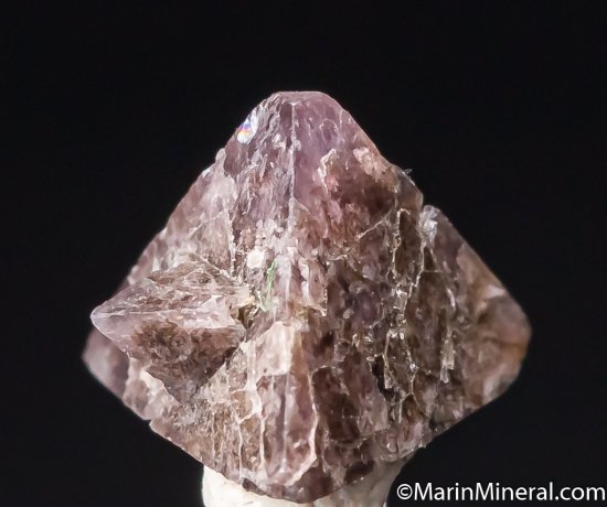Chambersite from Venice Salt Dome, Lousiana, USA [db_pics/pics/CT606a.jpg]