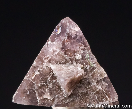 Chambersite from Venice Salt Dome, Lousiana, USA [db_pics/pics/CT606c.jpg]