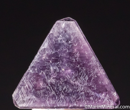 Chambersite from Venice Salt Dome, Lousiana, USA [db_pics/pics/CT610b.jpg]