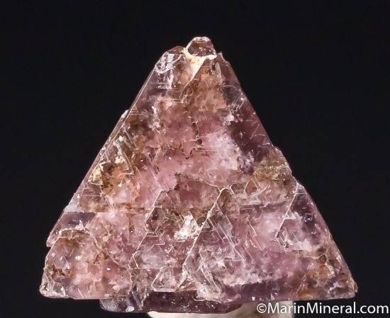 Chambersite from Venice Salt Dome, Lousiana, USA [db_pics/pics/CT611a.jpg]