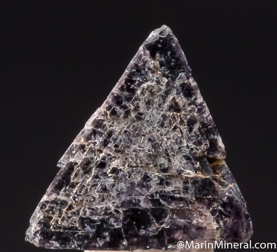 Chambersite from Venice Salt Dome, Lousiana, USA [db_pics/pics/CT612b.jpg]