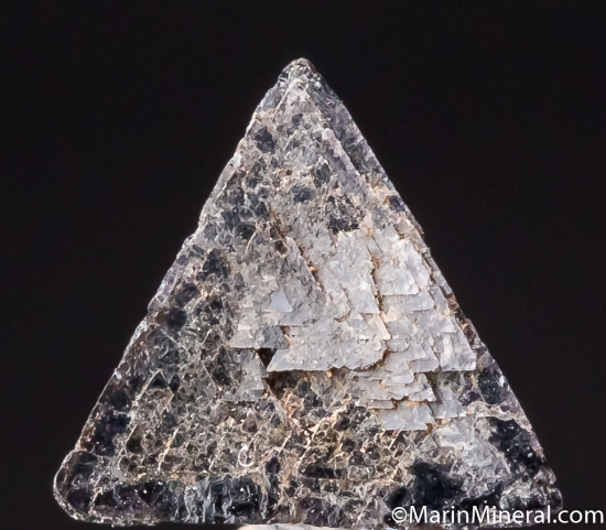 Chambersite from Venice Salt Dome, Lousiana, USA [db_pics/pics/CT612c.jpg]