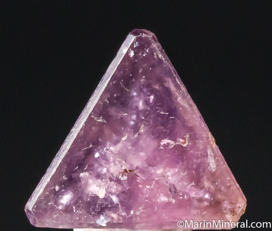 Chambersite from Venice Salt Dome, Lousiana, USA [db_pics/pics/CT613b.jpg]